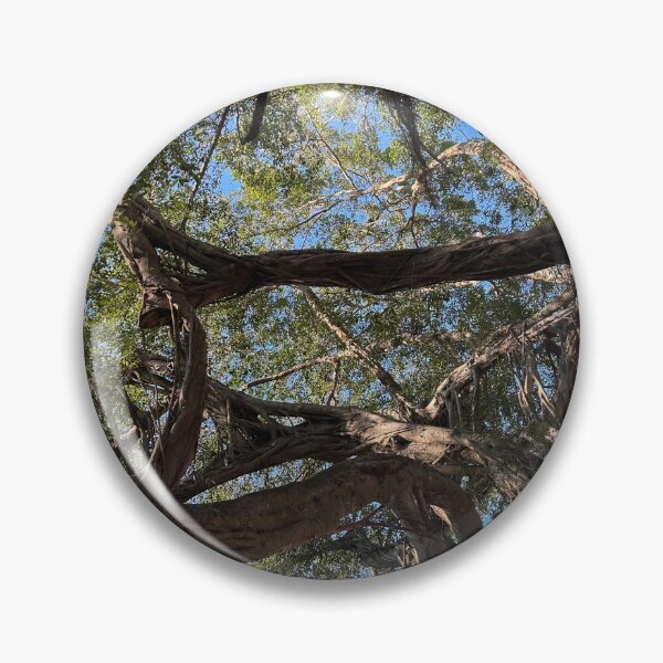 Item preview, Boca Banyan designed and sold by McKennaJBailey.