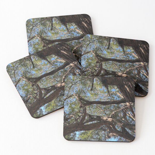 Item preview, Boca Banyan designed and sold by McKennaJBailey.