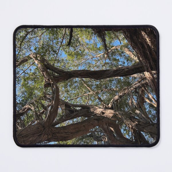 Item preview, Boca Banyan designed and sold by McKennaJBailey.