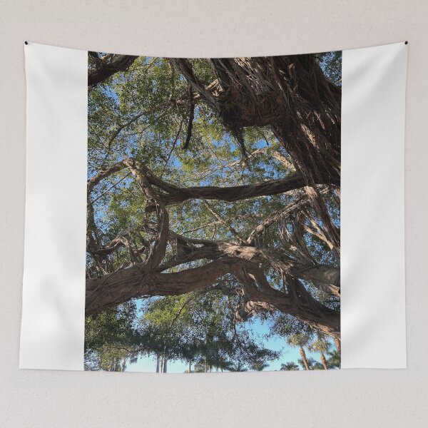 Item preview, Boca Banyan designed and sold by McKennaJBailey.
