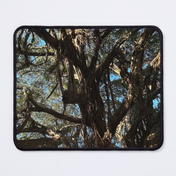 Item preview, Tree designed and sold by McKennaJBailey.