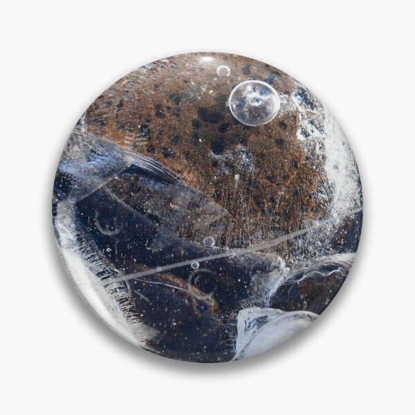 Aperçu de l'œuvre Bulles de flaque glacée créée et vendue par photosbymia.