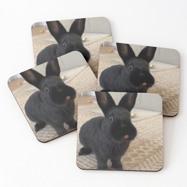 Item preview, Playful Ernie Ball Music Man Bunny Dance designed and sold by Heerwhiteshirt.