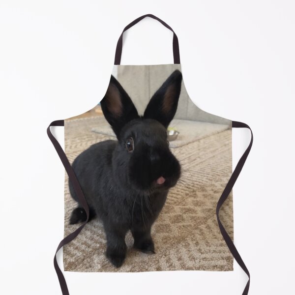 Item preview, Playful Ernie Ball Music Man Bunny Dance designed and sold by Heerwhiteshirt.