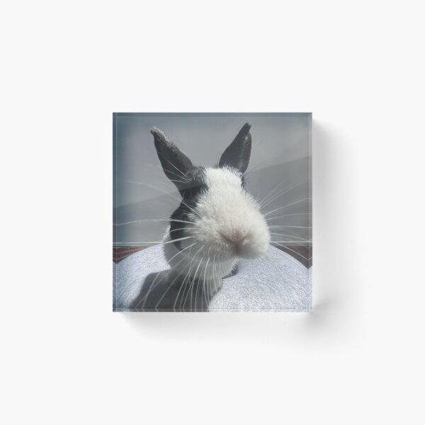 Item preview, Rustic Komatsu eBunny Cottage designed and sold by Heerwhiteshirt.