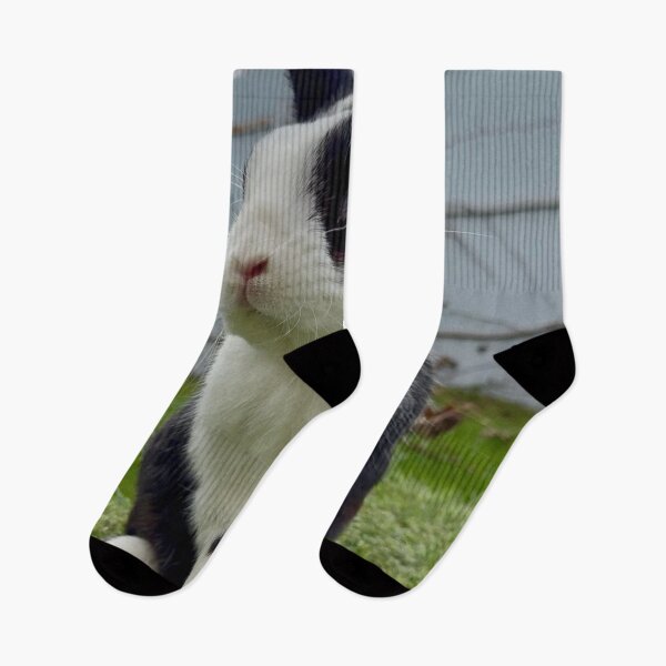 Item preview, Rabbit Komatsu cSunset Glow designed and sold by Heerwhiteshirt.