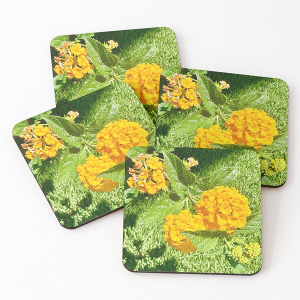 Item preview, Yellow Lantanas Flowers Stickers Prints Posters Wall Art Magnet Home Coffee Cup Decoration TShirt Stationary Notebook Magnet Hat Kitchen Work School Office Redbubble Shop designed and sold by Saritas Boutique Shop.