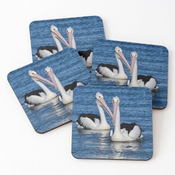 Item preview, Pelicans afloat designed and sold by photosbymia.