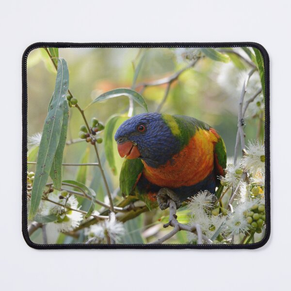 Item preview, "Blossom" designed and sold by photosbymia.