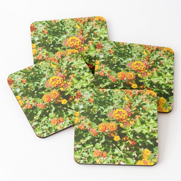 Item preview, Lantanas Flowers Orange & Yellow Stickers Prints Posters Wall Art Magnet Home Coffee Cup Decoration TShirt Stationary Notebook Magnet Hat Kitchen Work School Office Redbubble Shop designed and sold by Saritas Boutique Shop.