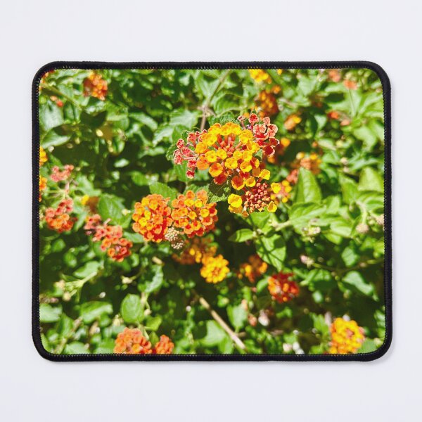 Item preview, Lantanas Flowers Orange & Yellow Stickers Prints Posters Wall Art Magnet Home Coffee Cup Decoration TShirt Stationary Notebook Magnet Hat Kitchen Work School Office Redbubble Shop designed and sold by Saritas Boutique Shop.