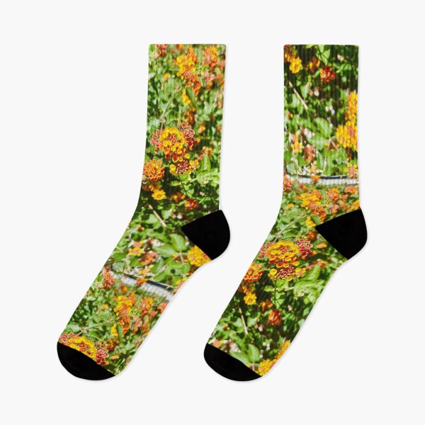 Item preview, Lantanas Flowers Orange & Yellow Stickers Prints Posters Wall Art Magnet Home Coffee Cup Decoration TShirt Stationary Notebook Magnet Hat Kitchen Work School Office Redbubble Shop designed and sold by Saritas Boutique Shop.