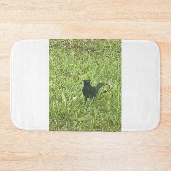 Item preview, Brewer’s Blackbird: Sleek Shimmering Songbird of North America. designed and sold by Pearls1.