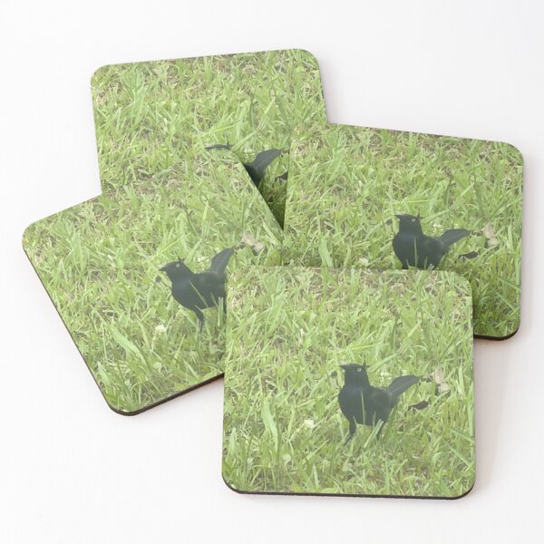 Item preview, Brewer’s Blackbird: Sleek Shimmering Songbird of North America. designed and sold by Pearls1.