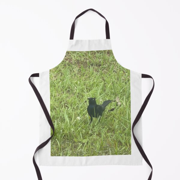 Item preview, Brewer’s Blackbird: Sleek Shimmering Songbird of North America. designed and sold by Pearls1.