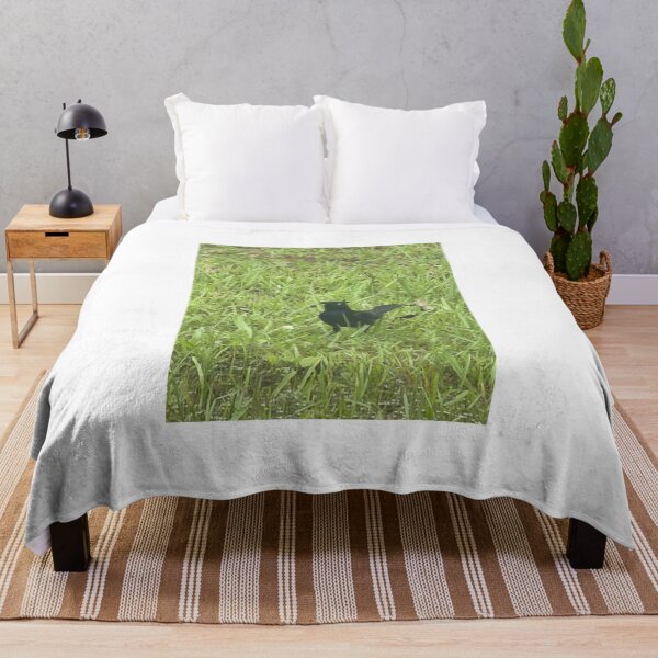 Item preview, Brewer’s Blackbird: Sleek Shimmering Songbird of North America. designed and sold by Pearls1.