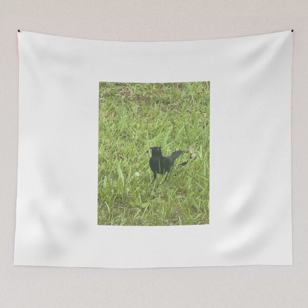 Item preview, Brewer’s Blackbird: Sleek Shimmering Songbird of North America. designed and sold by Pearls1.