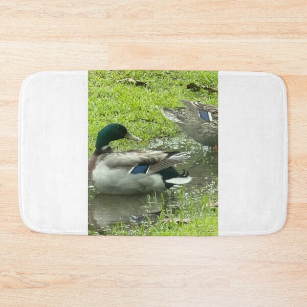 Item preview, Mallard Ducks Swimming in a Quiet Ditch. designed and sold by Pearls1.