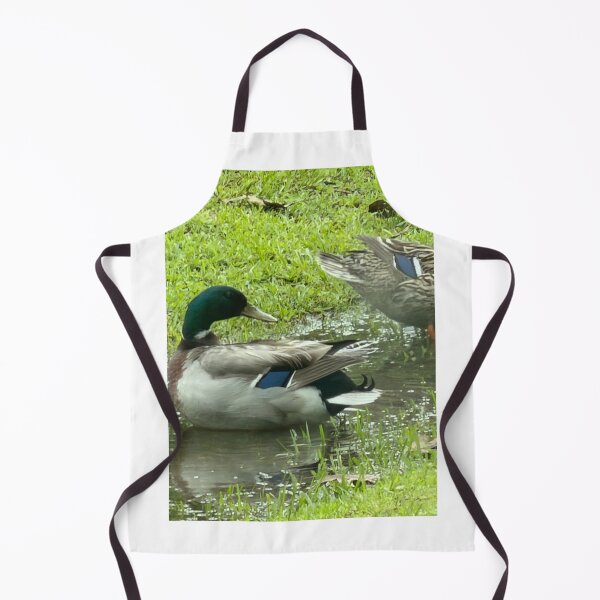 Item preview, Mallard Ducks Swimming in a Quiet Ditch. designed and sold by Pearls1.