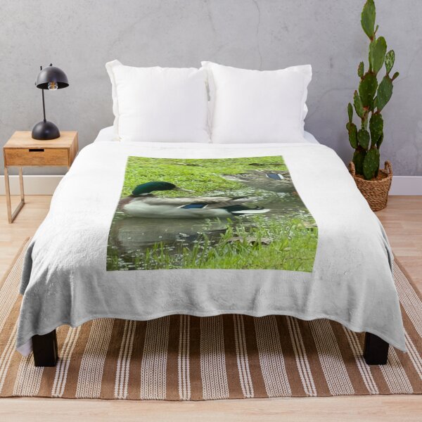 Item preview, Mallard Ducks Swimming in a Quiet Ditch. designed and sold by Pearls1.