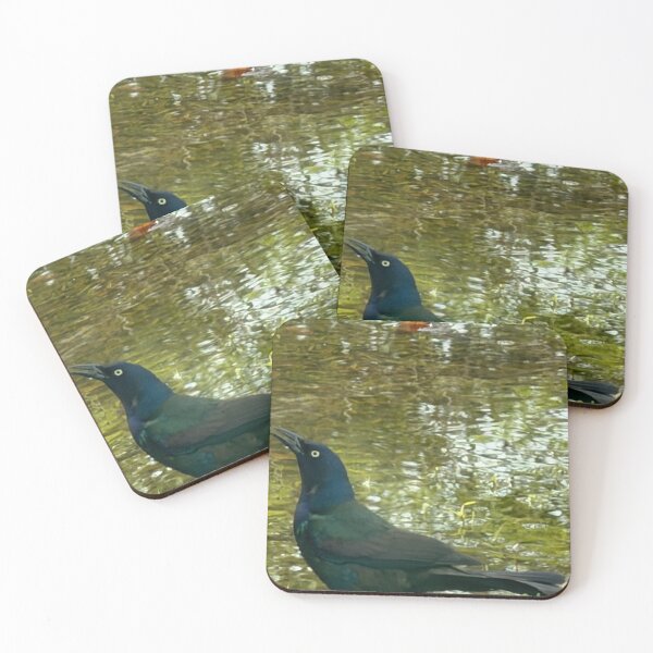 Item preview, Grackle: Bold and Iridescent Backyard Blackbird. designed and sold by Pearls1.