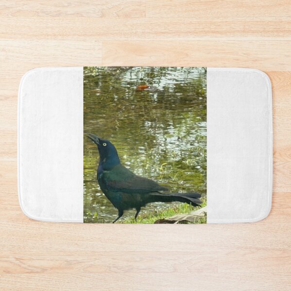 Item preview, Grackle: Bold and Iridescent Backyard Blackbird. designed and sold by Pearls1.