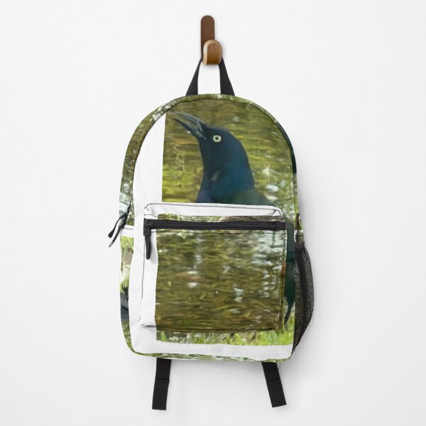 Item preview, Grackle: Bold and Iridescent Backyard Blackbird. designed and sold by Pearls1.