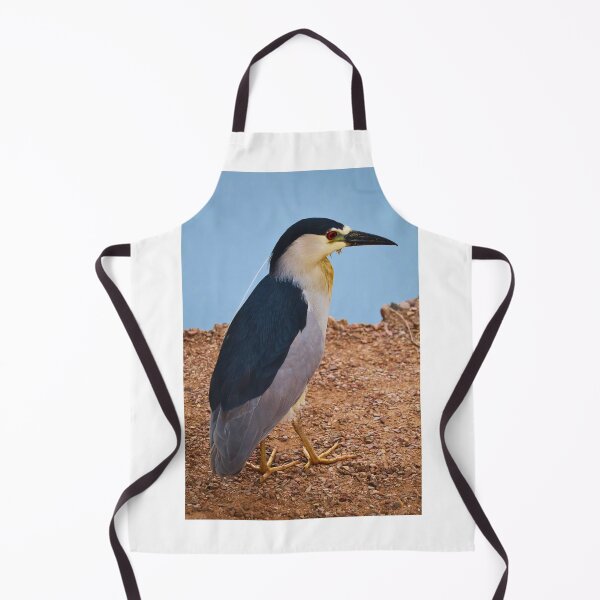 Item preview, Black-Crowned Night Heron by the Water designed and sold by Phakade's Photos.