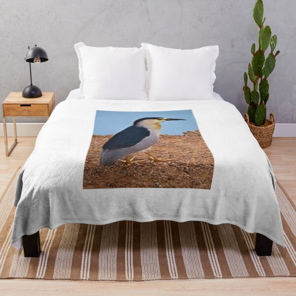 Item preview, Black-Crowned Night Heron by the Water designed and sold by Phakade's Photos.