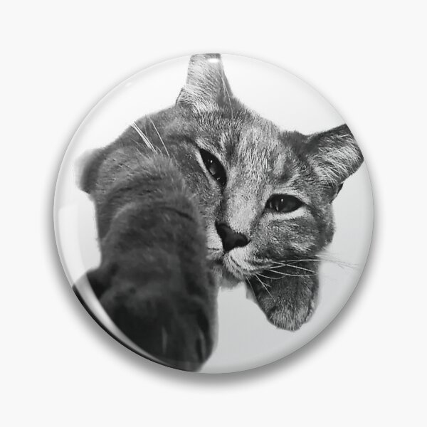 Artikelvorschau, Faules Katzen-Stretch-T-Shirt entworfen und verkauft von gidget-gadget.