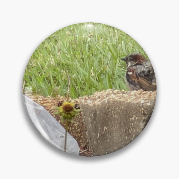 Item preview, House Sparrow (Passer domesticus) – Urban Bird Behavior, Habitat & Identification designed and sold by Pearls1.