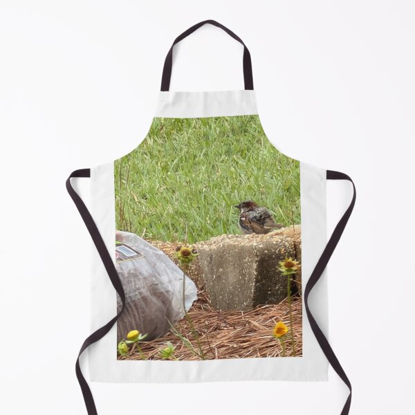 Item preview, House Sparrow (Passer domesticus) – Urban Bird Behavior, Habitat & Identification designed and sold by Pearls1.