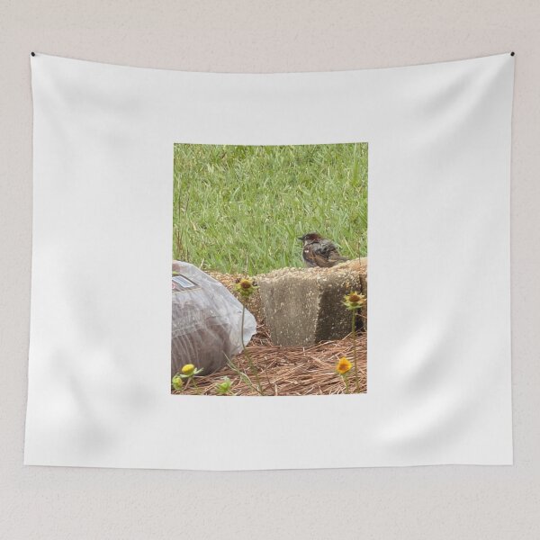 Item preview, House Sparrow (Passer domesticus) – Urban Bird Behavior, Habitat & Identification designed and sold by Pearls1.
