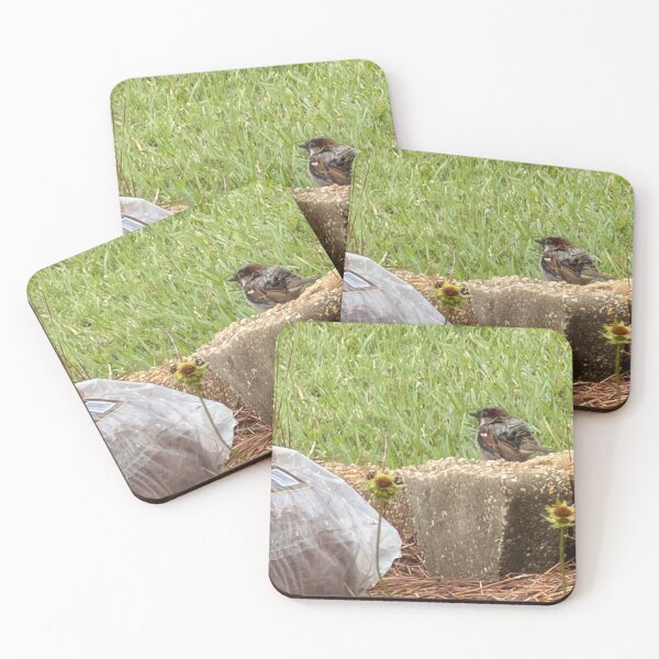 Item preview, House Sparrow (Passer domesticus) – Urban Bird Behavior, Habitat & Identification designed and sold by Pearls1.