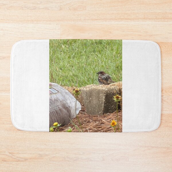 Item preview, House Sparrow (Passer domesticus) – Urban Bird Behavior, Habitat & Identification designed and sold by Pearls1.