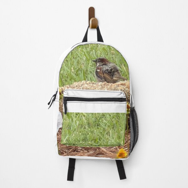 Item preview, House Sparrow (Passer domesticus) – Urban Bird Behavior, Habitat & Identification designed and sold by Pearls1.