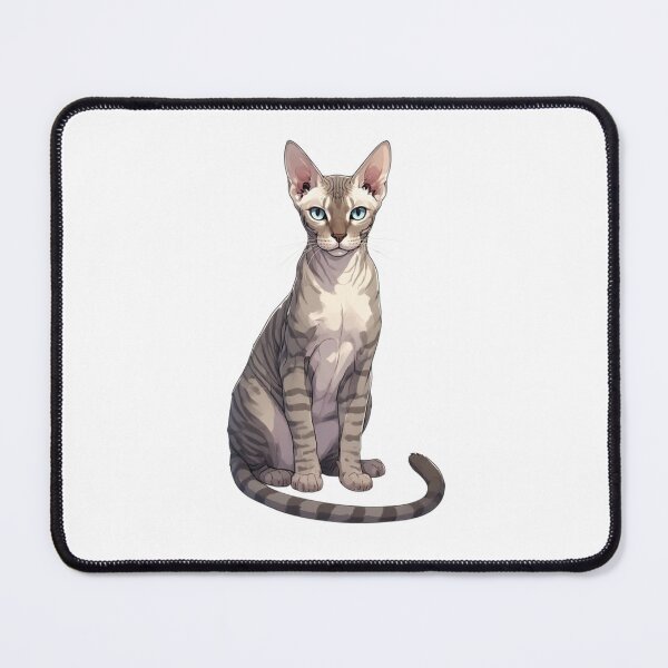 Item preview, Illustration of an oriental shorthair cat with blue eyes, anime style: elegant tabby illustration designed and sold by VientosDeGuerra.