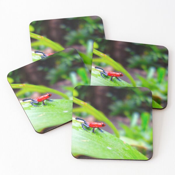 Item preview, Strawberry Poison Frog: Nature's Scarlet Gem designed and sold by sky earth human.