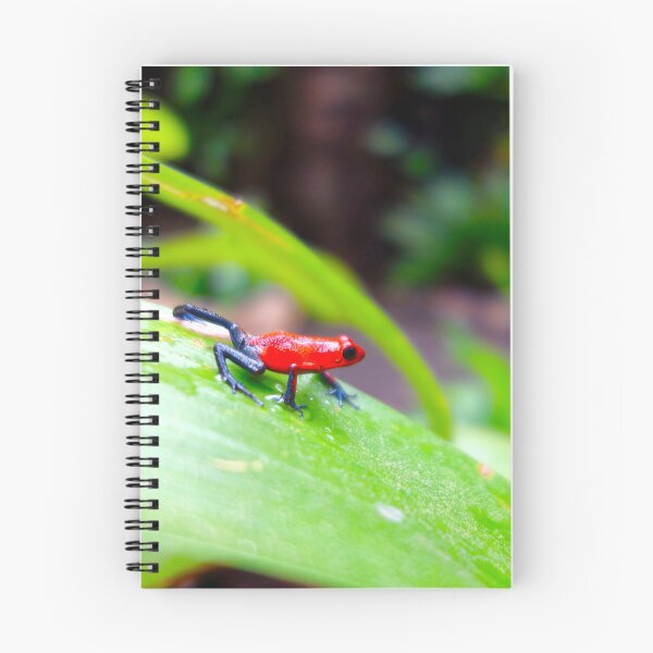 Item preview, Strawberry Poison Frog: Nature's Scarlet Gem designed and sold by sky earth human.