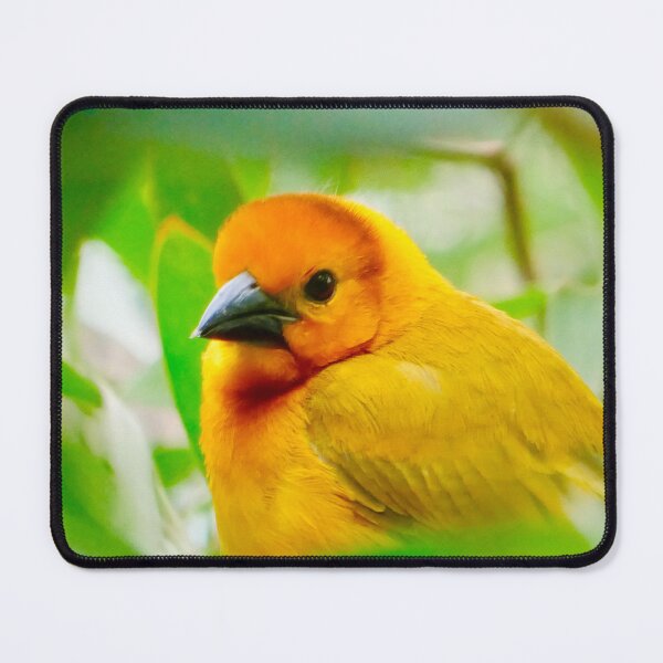 Item preview, Golden Soul in the Emerald Forest designed and sold by sky earth human.