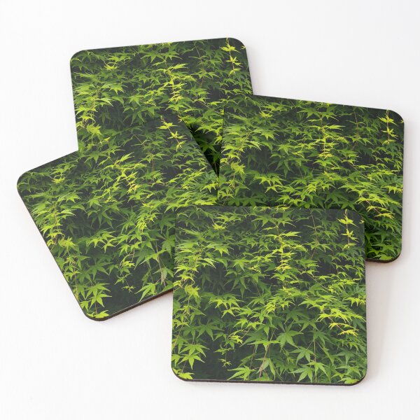 Item preview, Lush green Japanese maple leaf wall designed and sold by Kainicram.