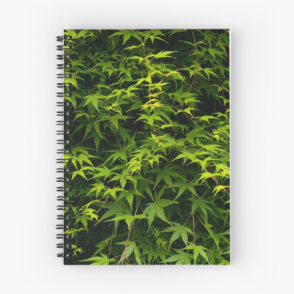 Item preview, Lush green Japanese maple leaf wall designed and sold by Kainicram.