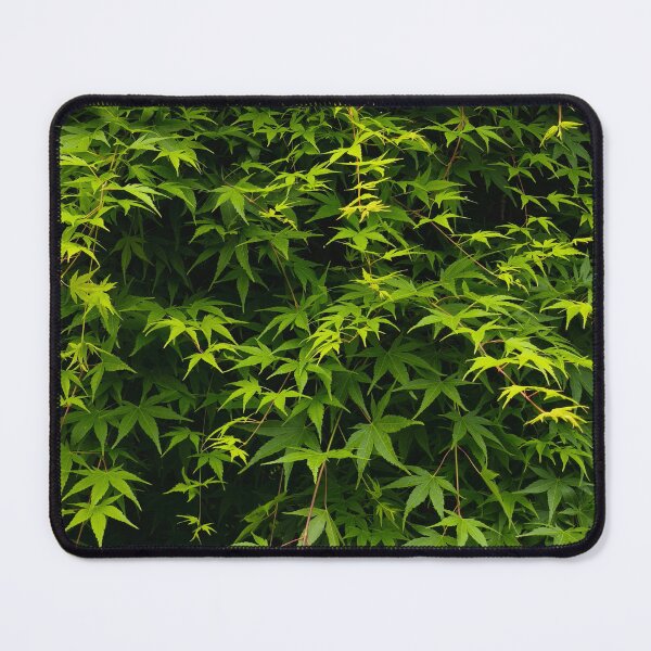 Item preview, Lush green Japanese maple leaf wall designed and sold by Kainicram.