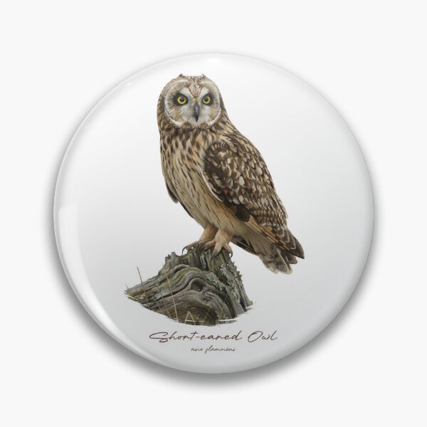 Item preview, Short-eared Owl on Rustic Branch designed and sold by Takeda-art.