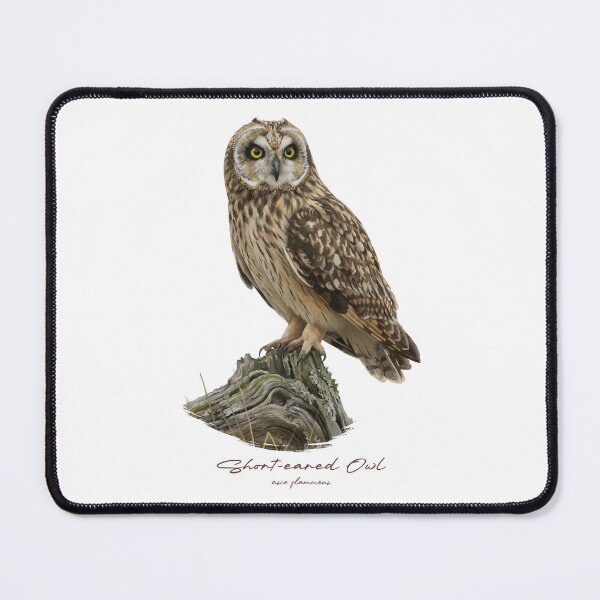 Item preview, Short-eared Owl on Rustic Branch designed and sold by Takeda-art.