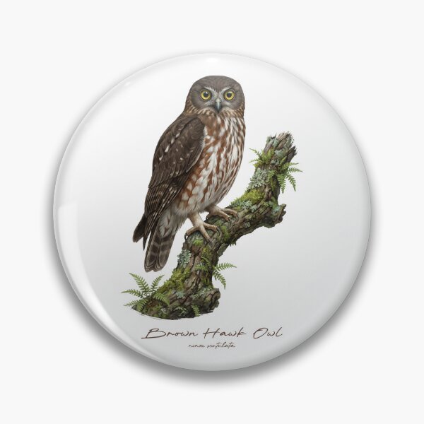 Item preview, Brown Hawk Owl on Mossy Branch designed and sold by Takeda-art.