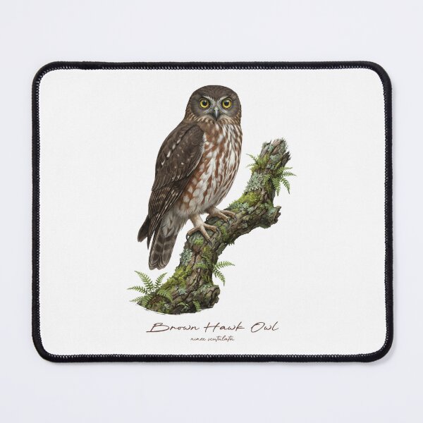 Item preview, Brown Hawk Owl on Mossy Branch designed and sold by Takeda-art.