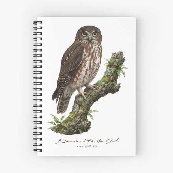 Item preview, Brown Hawk Owl on Mossy Branch designed and sold by Takeda-art.