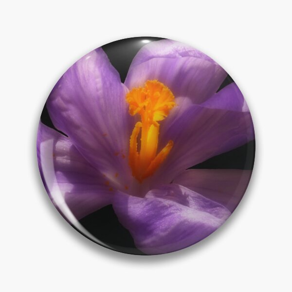 Item preview, Purple Crocus Flower on Black Background designed and sold by MajikFlower.