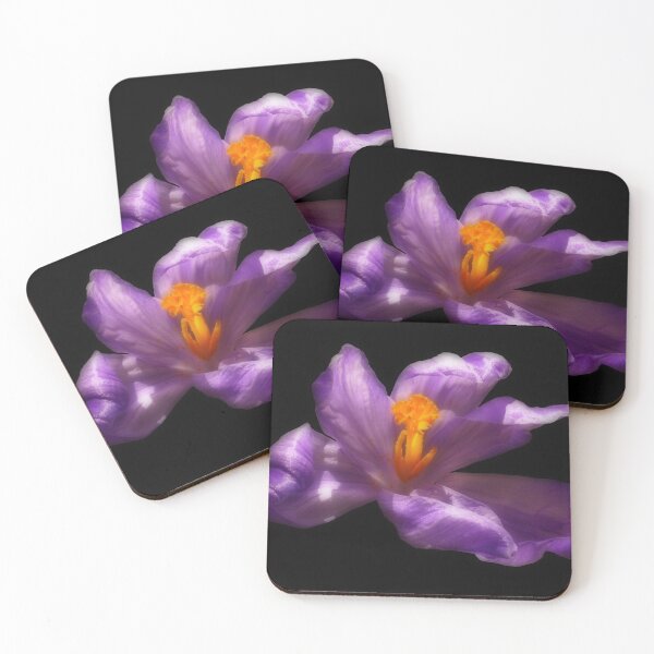 Item preview, Purple Crocus Flower on Black Background designed and sold by MajikFlower.